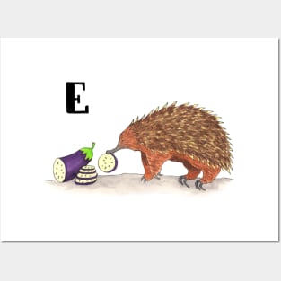 E is for Echidna Posters and Art